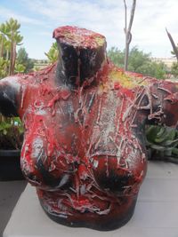 Un Coraz&oacute;n que sale del pecho